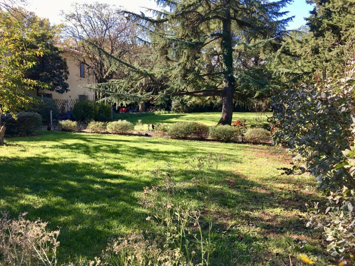 Gites Avec Piscine Et Jacuzzi Au Mas De Cadoule Saint-Just  Chambre photo